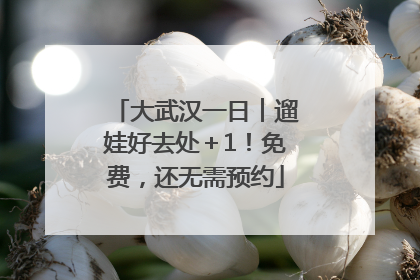 大武汉一日︱遛娃好去处＋1！免费，还无需预约