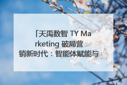 天禹数智 TY Marketing 破局营销新时代：智能体赋能与人才培育双轮驱动