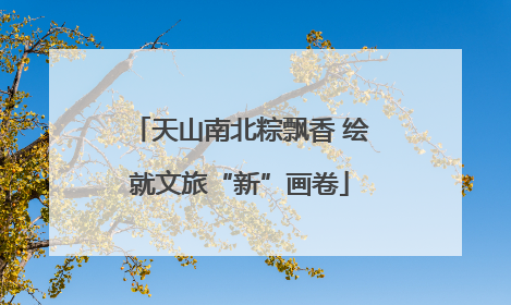 天山南北粽飘香 绘就文旅“新”画卷