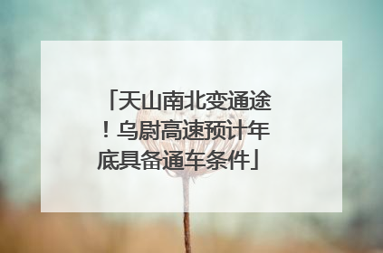 天山南北变通途！乌尉高速预计年底具备通车条件