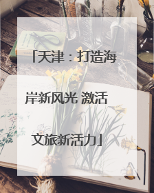天津：打造海岸新风光 激活文旅新活力