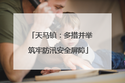 天马镇：多措并举筑牢防汛安全屏障
