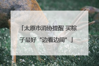太原市消协提醒 买粽子最好“边看边闻”