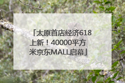 太原首店经济618上新！40000平方米京东MALL启幕
