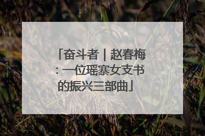 奋斗者｜赵春梅：一位瑶寨女支书的振兴三部曲