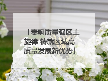 奏响质量强区主旋律 铸就区域高质量发展新优势
