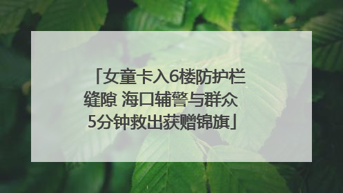 女童卡入6楼防护栏缝隙 海口辅警与群众5分钟救出获赠锦旗