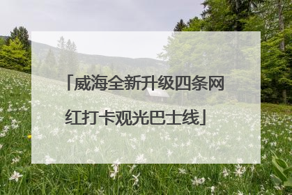 威海全新升级四条网红打卡观光巴士线