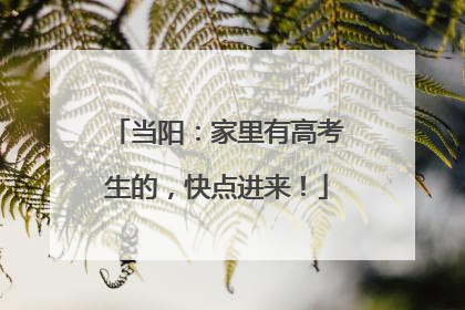当阳：家里有高考生的，快点进来！