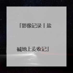 影像记录丨盐碱地上麦收记