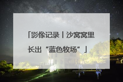 影像记录丨沙窝窝里长出“蓝色牧场”