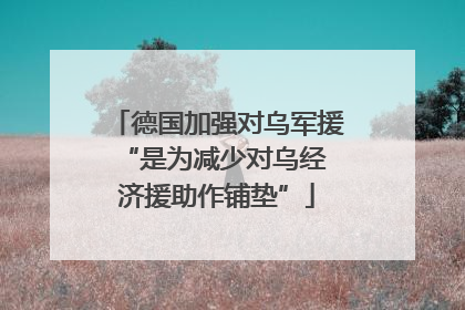 德国加强对乌军援 “是为减少对乌经济援助作铺垫”
