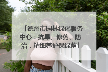 德州市园林绿化服务中心：抗旱、修剪、防治，精细养护保绿荫