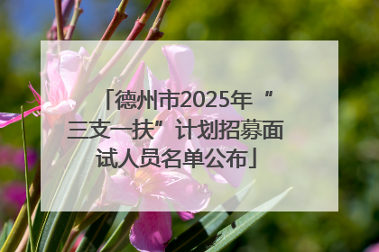 德州市2025年“三支一扶”计划招募面试人员名单公布