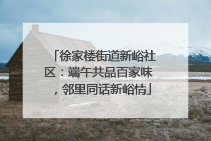 徐家楼街道新峪社区：端午共品百家味，邻里同话新峪情