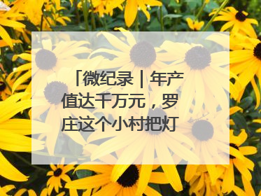 微纪录｜年产值达千万元，罗庄这个小村把灯饰卖到中东