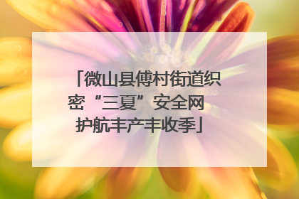 微山县傅村街道织密“三夏”安全网 护航丰产丰收季
