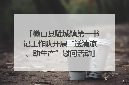 微山县驩城镇第一书记工作队开展“送清凉、助生产”慰问活动