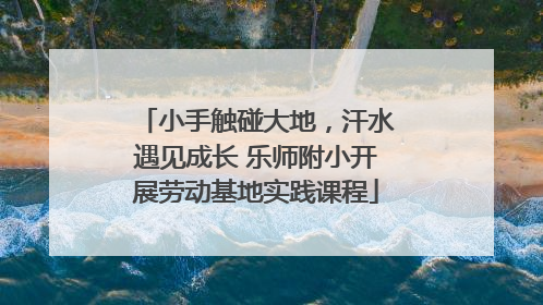 小手触碰大地，汗水遇见成长 乐师附小开展劳动基地实践课程