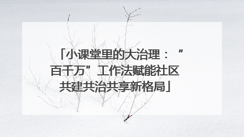 小课堂里的大治理：“百千万”工作法赋能社区共建共治共享新格局