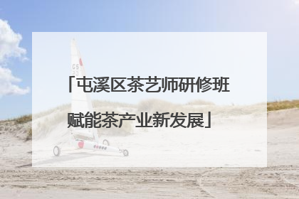 屯溪区茶艺师研修班赋能茶产业新发展
