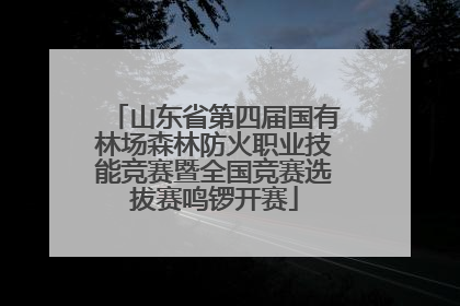 山东省第四届国有林场森林防火职业技能竞赛暨全国竞赛选拔赛鸣锣开赛
