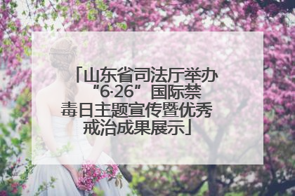 山东省司法厅举办“6·26”国际禁毒日主题宣传暨优秀戒治成果展示