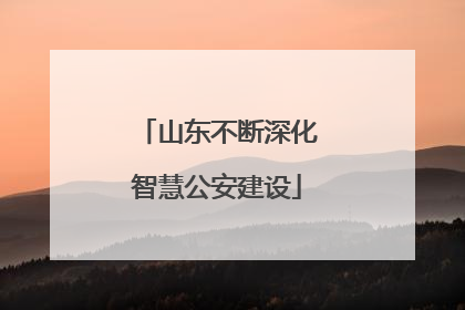 山东不断深化智慧公安建设
