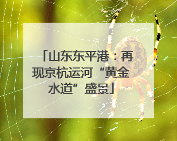 山东东平港：再现京杭运河“黄金水道”盛景