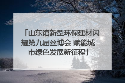 山东馆新型环保建材闪耀第九届丝博会 赋能城市绿色发展新征程