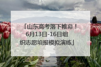 山东高考落下帷幕！6月13日-16日组织志愿填报模拟演练