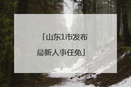 山东1市发布最新人事任免