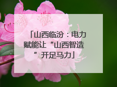 山西临汾：电力赋能让“山西智造”开足马力