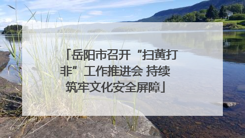 岳阳市召开“扫黄打非”工作推进会 持续筑牢文化安全屏障