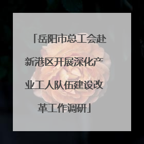 岳阳市总工会赴新港区开展深化产业工人队伍建设改革工作调研