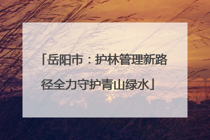 岳阳市：护林管理新路径全力守护青山绿水