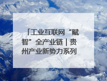 工业互联网“赋智”全产业链｜贵州产业新势力系列报道之八