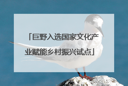 巨野入选国家文化产业赋能乡村振兴试点