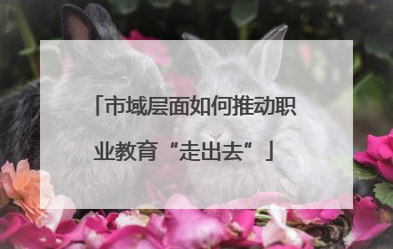 市域层面如何推动职业教育“走出去”