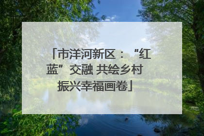 市洋河新区：“红蓝”交融 共绘乡村振兴幸福画卷