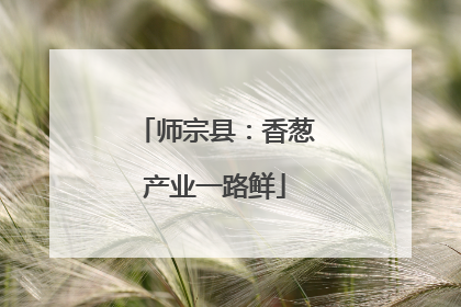师宗县：香葱产业一路鲜