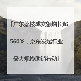 广东荔枝成交额增长超560%，京东发起行业最大规模助销行动