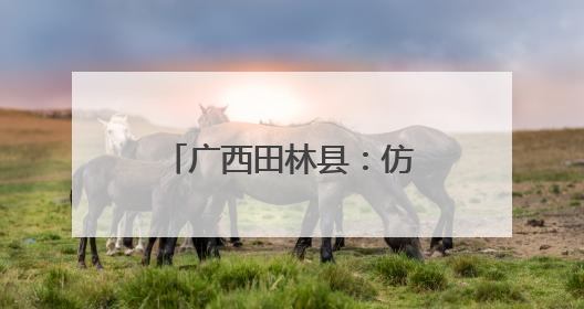 广西田林县：仿野生灵芝丰收季 山林间劳作忙