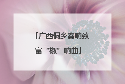 广西侗乡奏响致富“椒”响曲