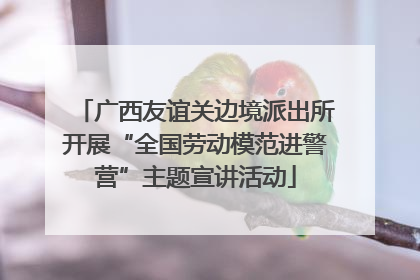 广西友谊关边境派出所开展“全国劳动模范进警营”主题宣讲活动