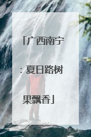 广西南宁：夏日路树果飘香