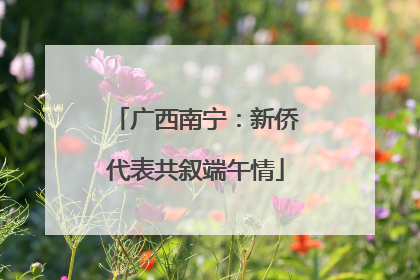 广西南宁：新侨代表共叙端午情