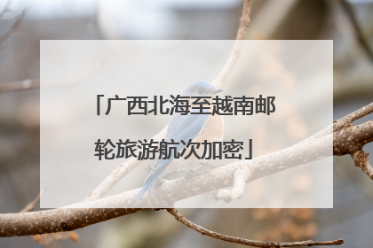 广西北海至越南邮轮旅游航次加密
