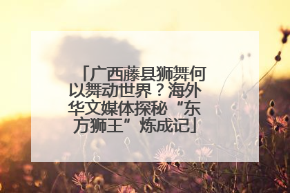 广西藤县狮舞何以舞动世界？海外华文媒体探秘“东方狮王”炼成记