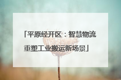 平原经开区：智慧物流重塑工业搬运新场景